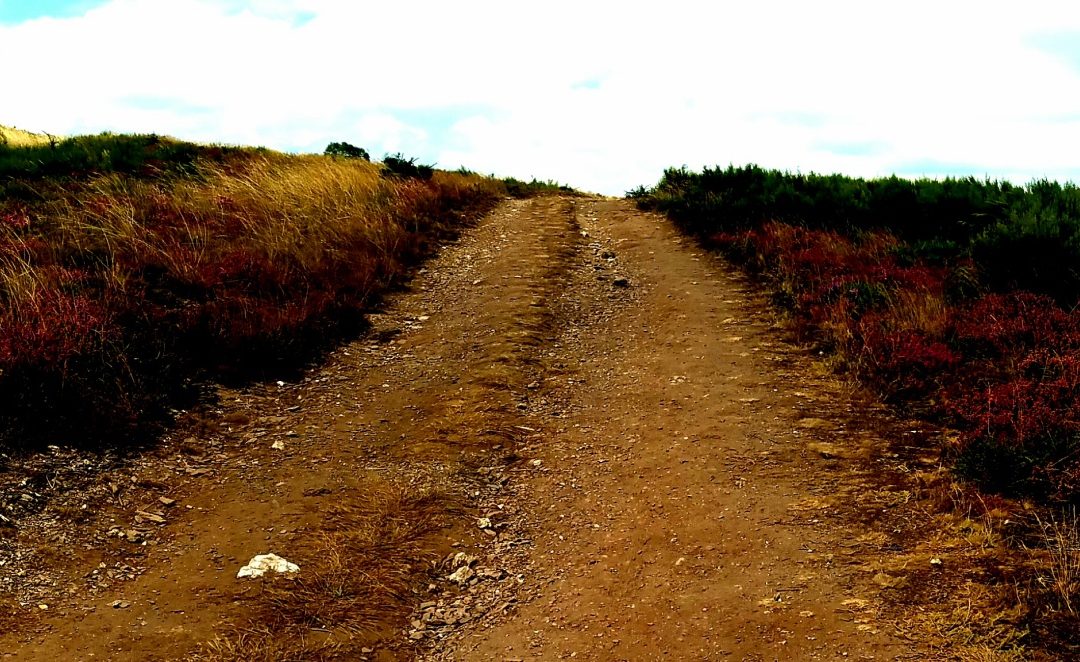 Day 28 – We should consider every day lost on which we have not danced at least once