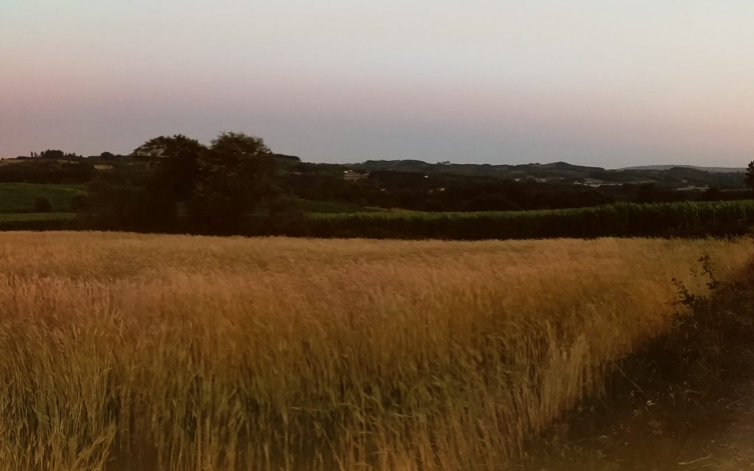 Day 29 – Who Knows Where the Time Goes